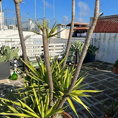 Casa de Férias Nido Poesia *
